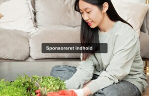 Bolig og sundhed: Hvordan dit hjem påvirker dit vitaminbehov