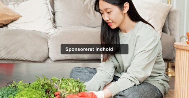 healthy-home-environment-featured